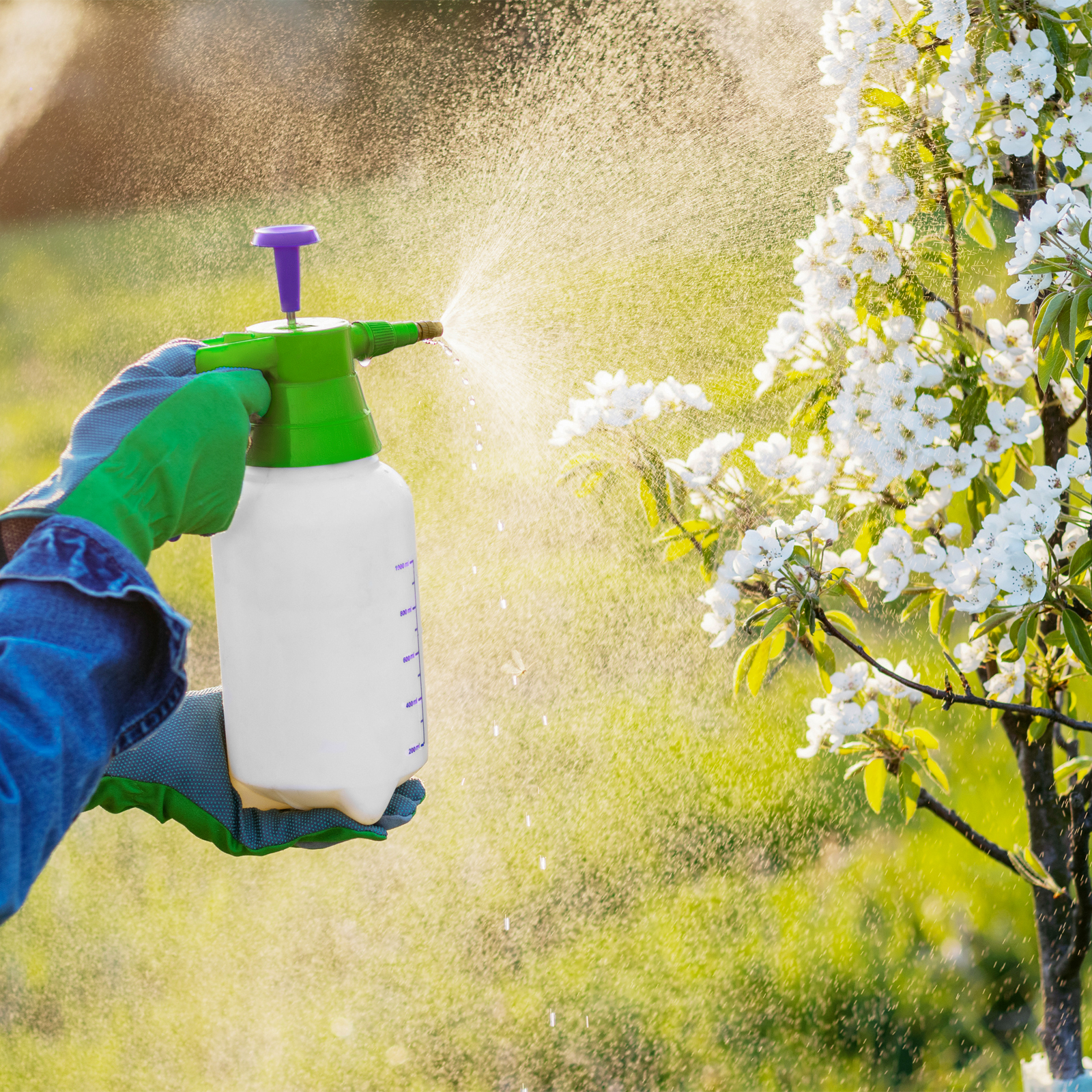 Минимизирано изображение на стоката 7